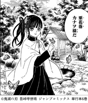 鬼滅の刃 栗花落カナヲの長所